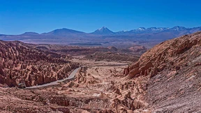 Massensterben durch Wüstenregen?