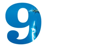 Echt einmalige Tierwelt 