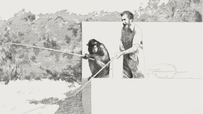 Das Ende einer Affenliebe