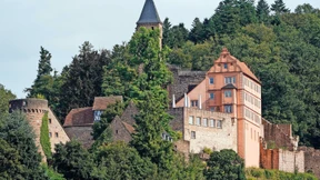 Pächter gesucht für saniertes Schloss