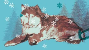 Mit seinen Hunden Schlitten fahren