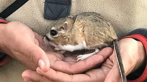 Gute Nachrichten, die Sie verpasst haben dürften