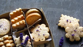 „Cookies sind Friedenspfeife, Trostpflaster und Aphrodisiakum“