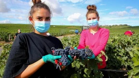 Corona verdirbt Lust auf Champagner