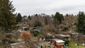 Bauen oder nicht bauen?