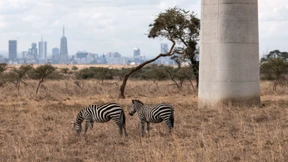 Weltnaturgipfel einigt sich auf Abschlusserklärung