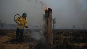 So viele Brände im Amazonaswald wie noch nie