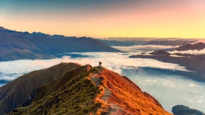 Im Land des Gegenteils