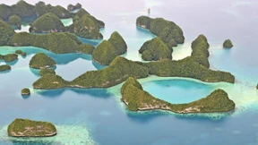 Nur der Hai bleibt unsichtbar