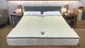 Auf Seegras gebettet