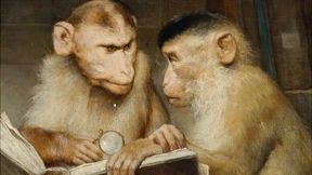Gelehrte Affen sorgen für die Surprise
