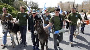 Kein Geld für Kriegsdienstverweigerer