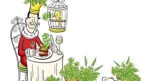 Ein Kraut für Könige