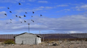 Niemand hat die Absicht, eine Mauer zu errichten