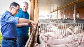 Özdemir fordert Bürger zu weniger Fleischkonsum auf