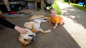 Kaninchen und Hunde gegen Sprachlosigkeit