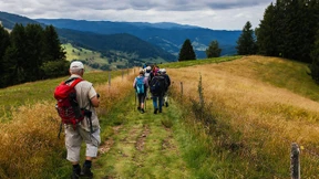 Auf Wählerwanderung im Schwarzwald