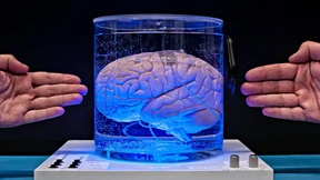 Warum unsere Welt nicht durchs Raster fällt