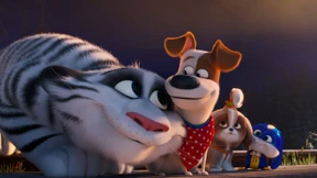 Haustierclique zieht an Aladin vorbei