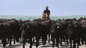 Australier erhöhen Druck auf Brüssel