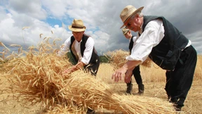 Warum es ein Erntedankfest gibt