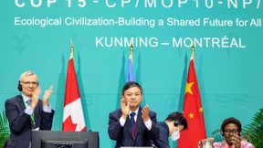 Schutzschirm für die Natur