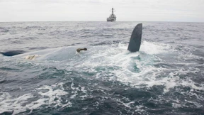 Küstenwache findet Wrack der vermissten „Cheeki Rafiki“