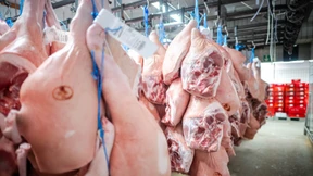 China geht gegen „Dumping“-Preise für europäisches Schweinefleisch vor