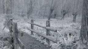 Bin gewohnt das irre Gehen