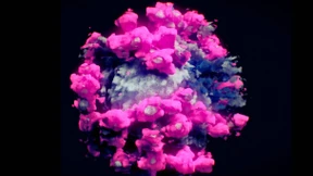 Mit Corona leben – oder das Virus ausrotten?