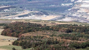 Gericht stoppt Rodungspläne