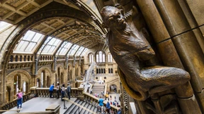 Ein Retter für den Retter