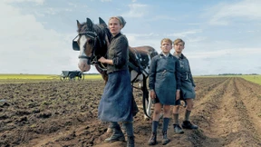 Hier Palme, dort Watt