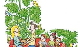 Monstera für Fortgeschrittene