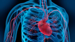 Bringt der Clip im Herzen doch etwas?