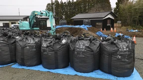 Ein bisschen Fukushima für alle