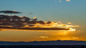 Schock für weiße und schwarze Spießer