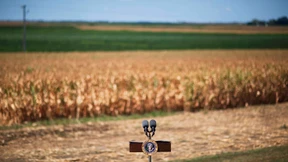 Im Tank statt auf dem Teller