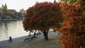 „Der stirbt, rennt weg!“