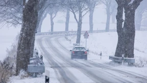 Lassen Sie das Auto lieber zu Hause!