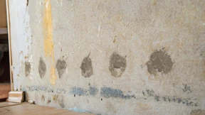 Feuchte Wände sorgen für Ärger