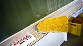 Es herrscht Bildungspanik