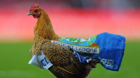 Rückschlag und Fortschritt