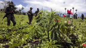 Kartell-Boss beim Fußballschauen verhaftet