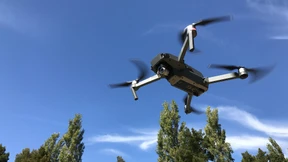 Die Kleine fliegt wie eine Große