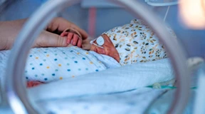 Zu klein zum Überleben