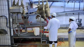 Tierschutz vor Religionsfreiheit? Das ist Sache der Staaten