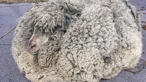 Wo ist da hinten und wo vorne?