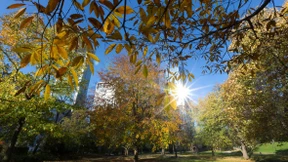 Unser Finanzplatz soll grüner werden
