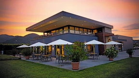 Willkommen im Weinberg